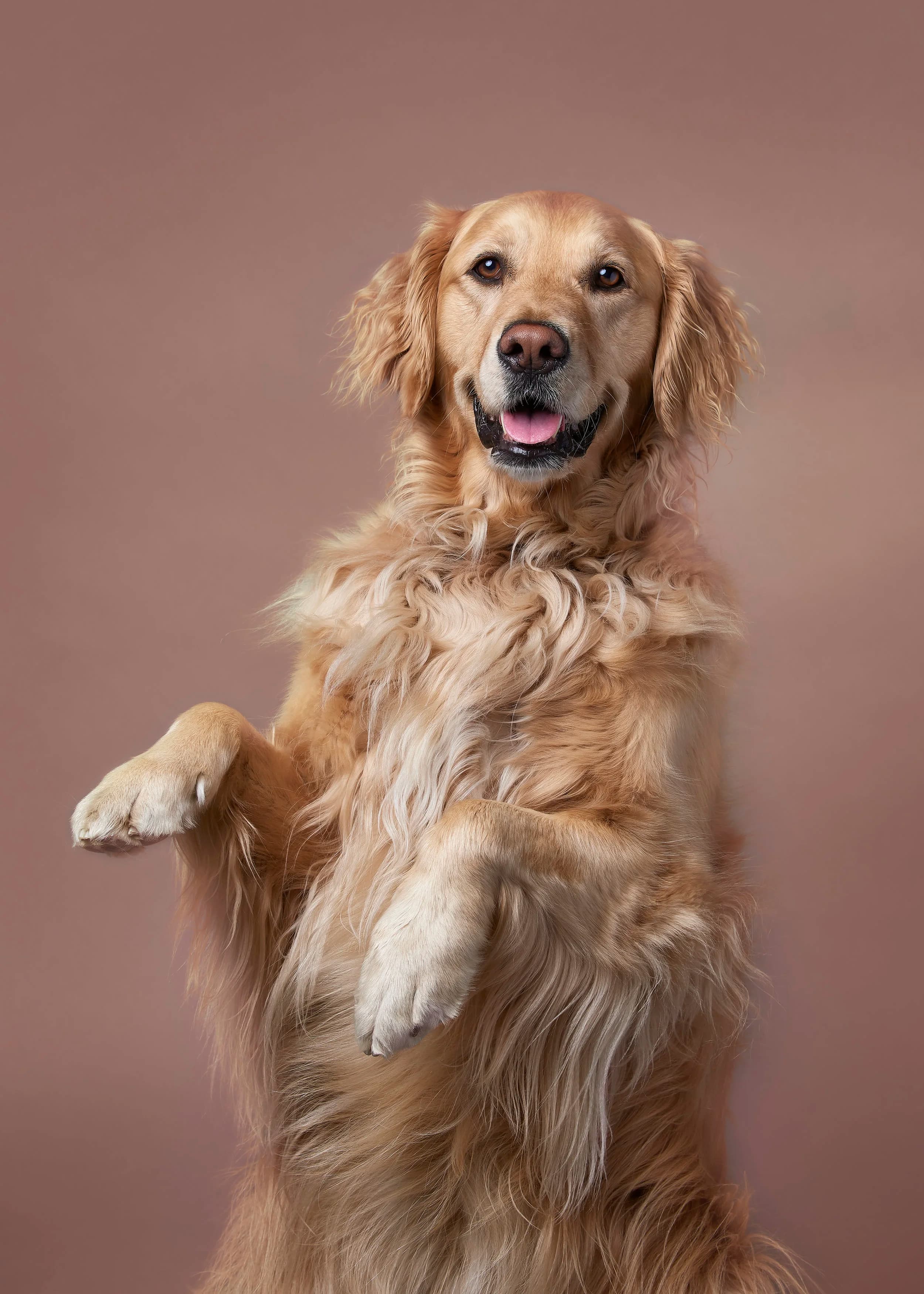 Animals photography 5
